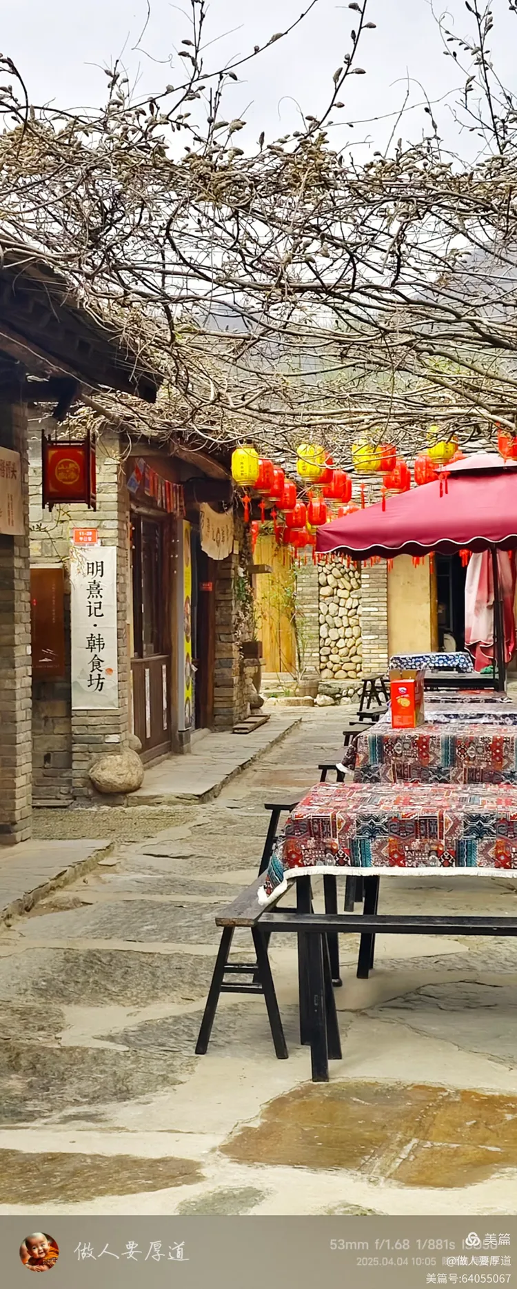 【清明踏青①】 走进秦林深处